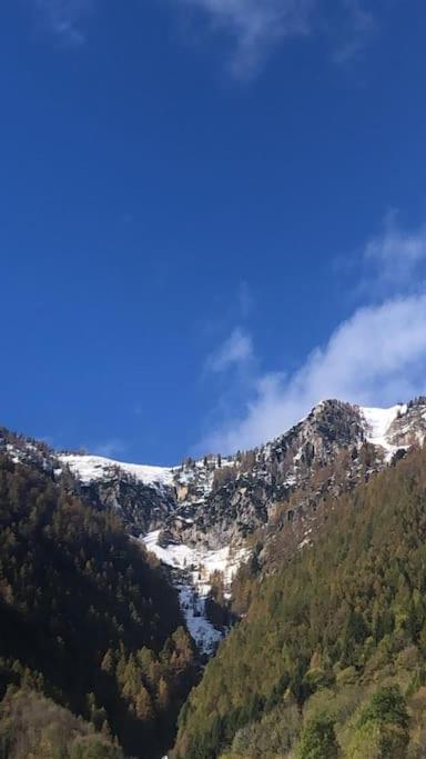 Il Sole Di Ester Branzi Exterior foto
